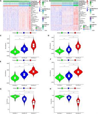 An Immune Gene-Related Five-lncRNA Signature for to Predict Glioma Prognosis